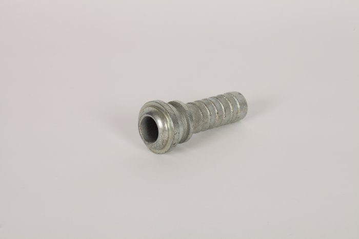 Stem - Image 3