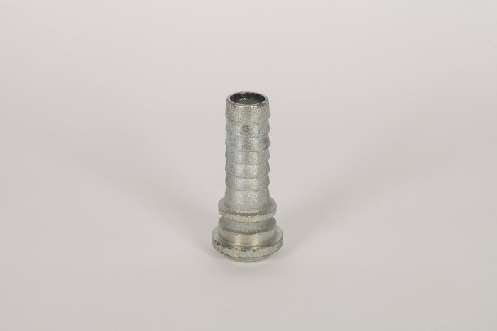 Stem - Image 4