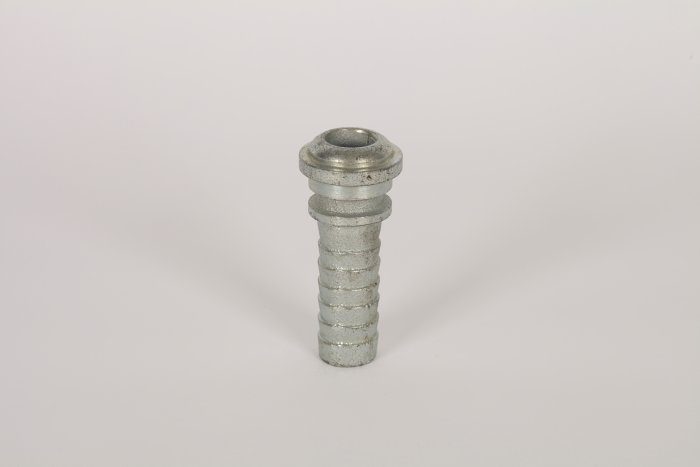 Stem